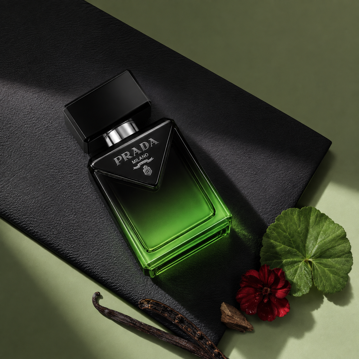 Prada Paradigme Le Parfum v grafickém zelenočerném zátiší s pelargonií a vanilkou – MrRizz