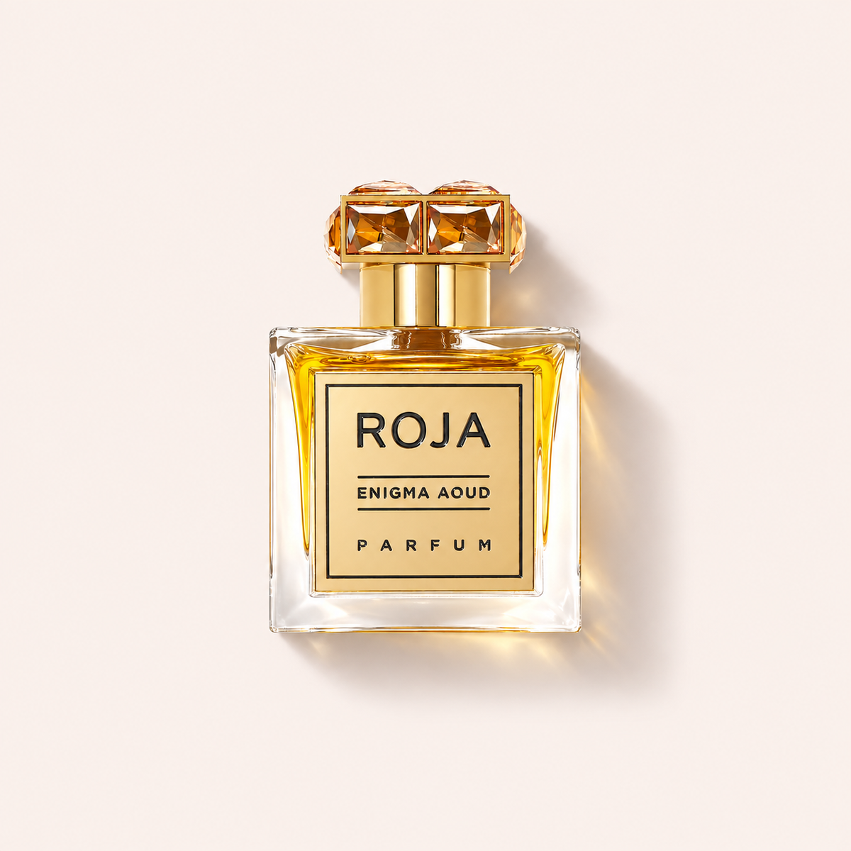 Roja Parfums Enigma Aoud 100 ml