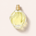 Nina Ricci L'Air du Temps 100 ml