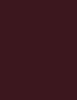 Inebrya Bionic Color 100 ml