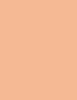 Artdeco Fluid Camouflage Foundation 20 ml - 20ml - Makeup