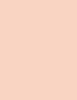 BOURJOIS Paris Healthy Mix Clean & Vegan Glow Tint Essence 30 ml - 30ml - Makeup