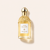 Guerlain Aqua Allegoria Mandarine Basilic – flakon parfému