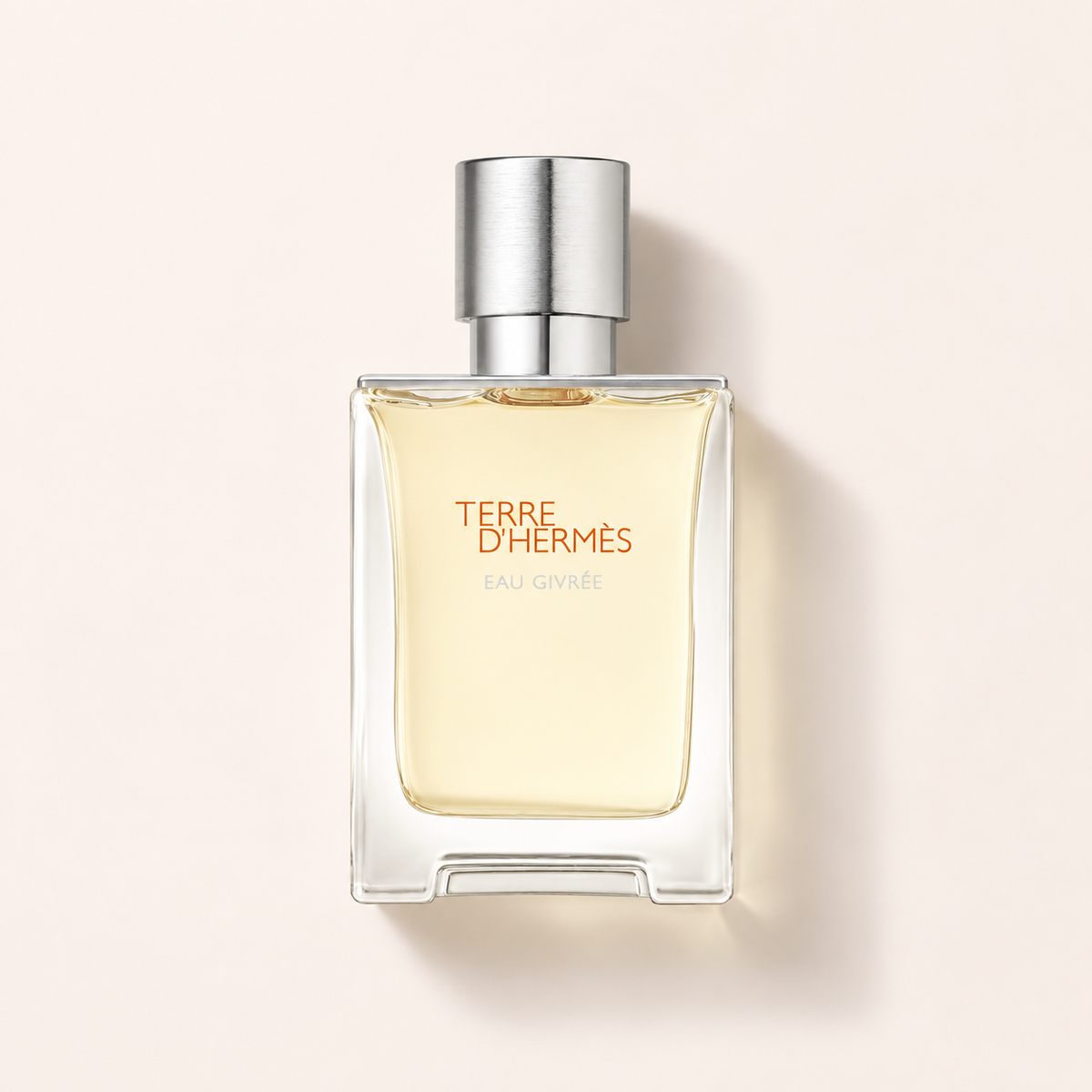 Flakon parfémované vody Hermès Terre d'Hermès Eau Givrée EDP 50 ml – MrRizz