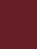 Inebrya Bionic Color 100 ml