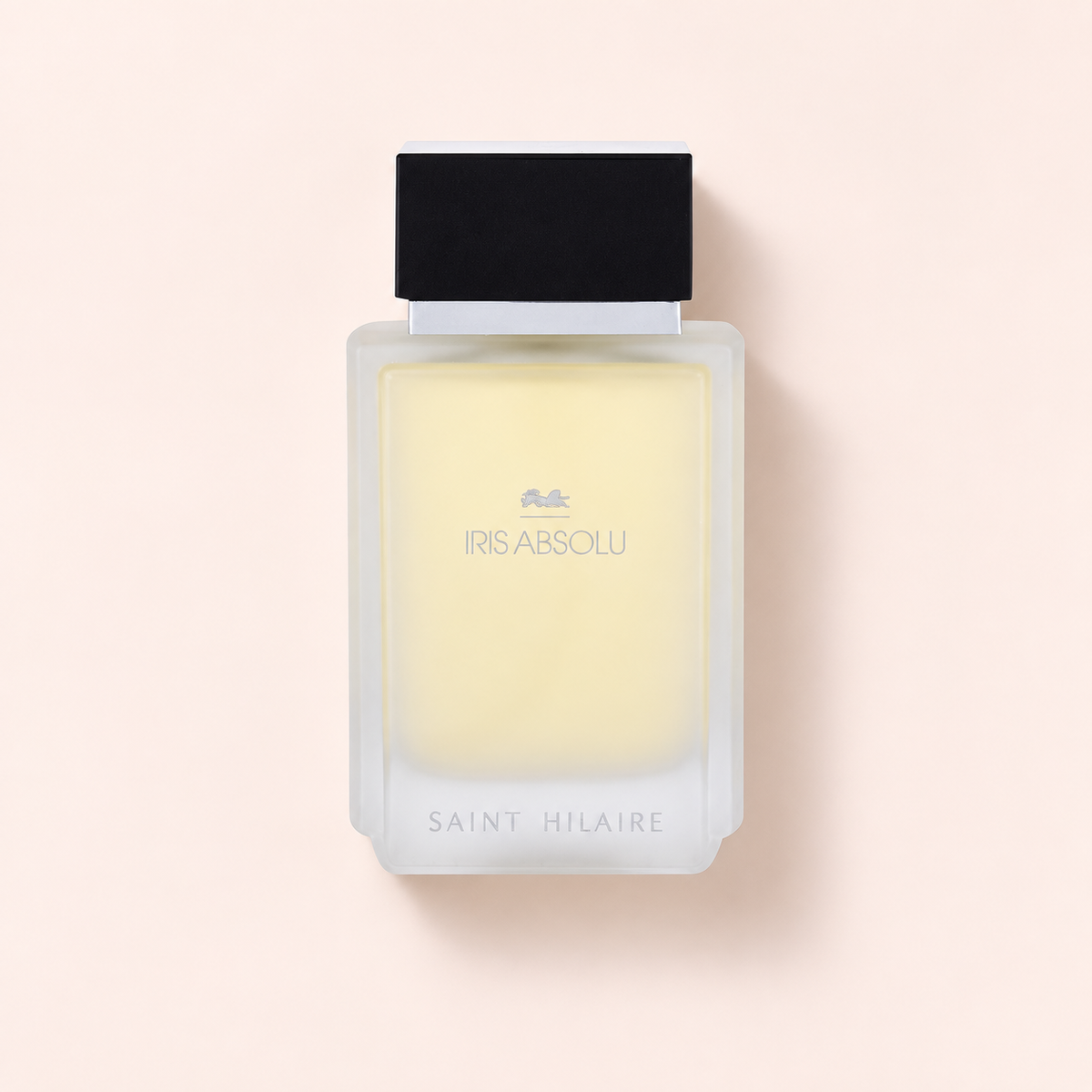 Saint Hilaire Iris Absolu EDP 100 ml – MrRizz