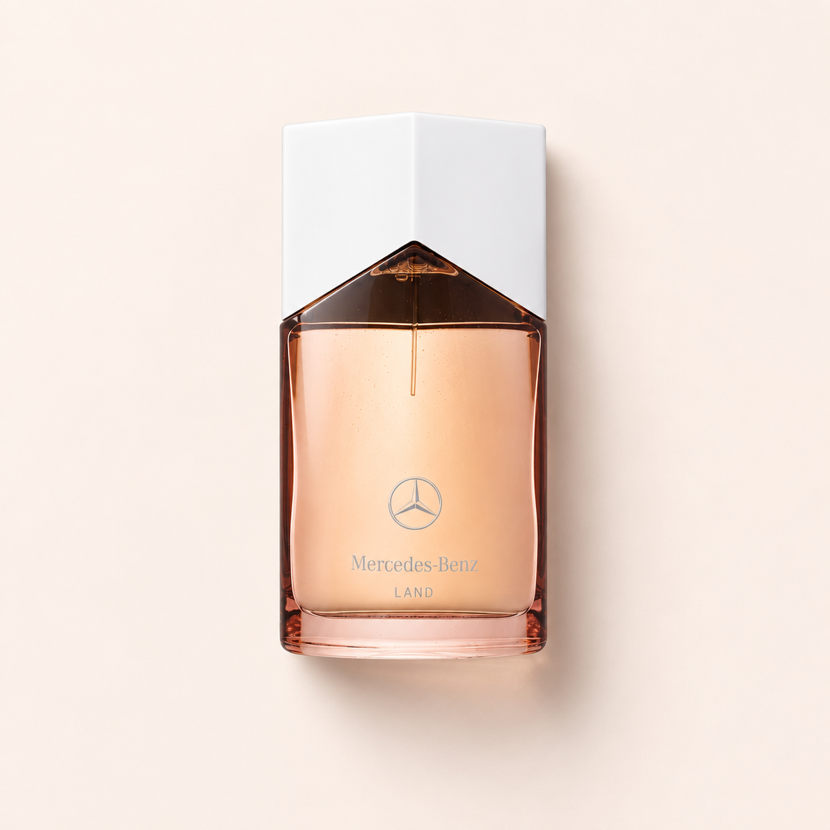 Mercedes-Benz Land 100 ml – MrRizz