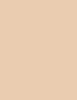 Physicians Formula Mineral Wear Diamond Perfector 37 ml - 37ml - BB krém