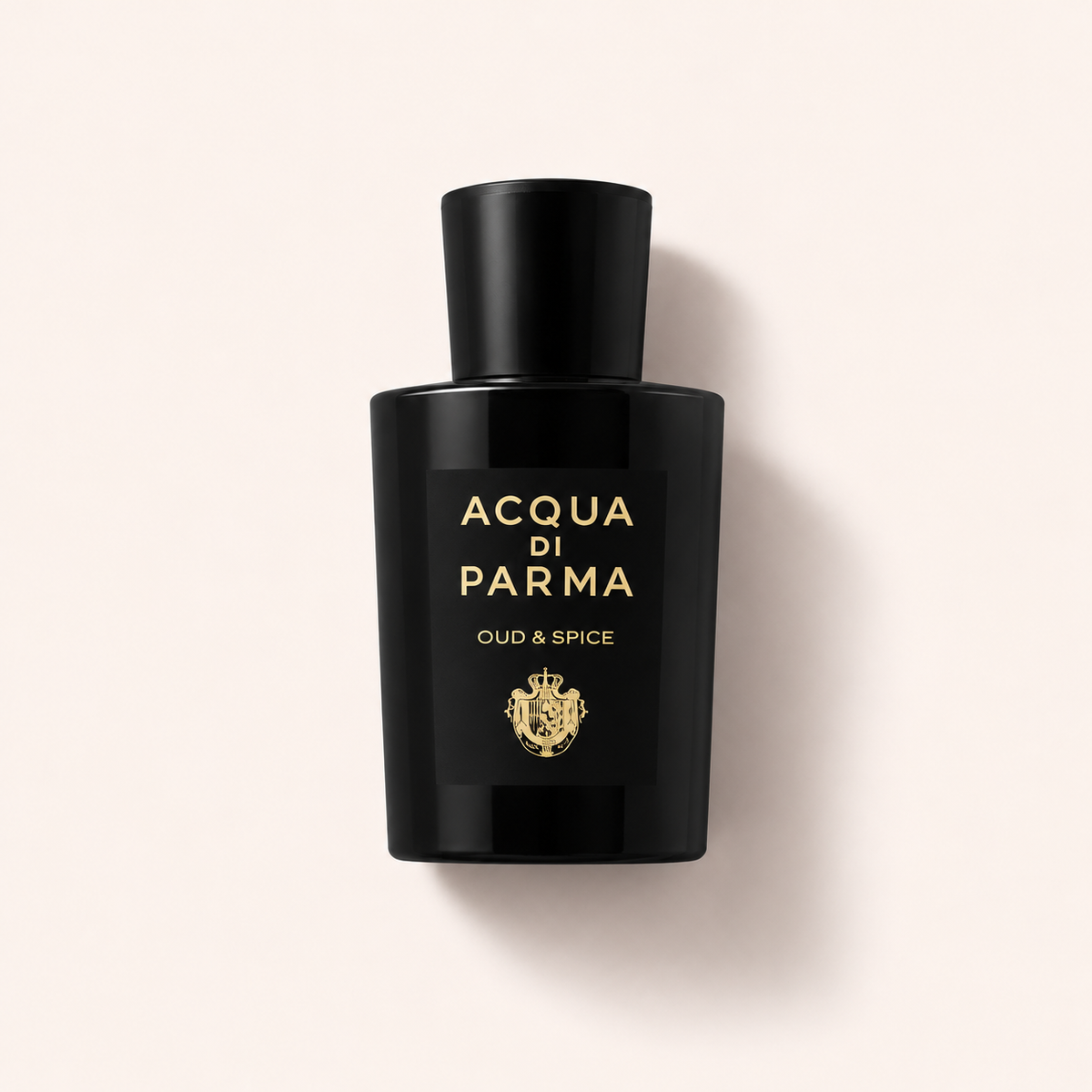 Acqua di Parma Signatures Of The Sun Oud & Spice 180 ml – MrRizz