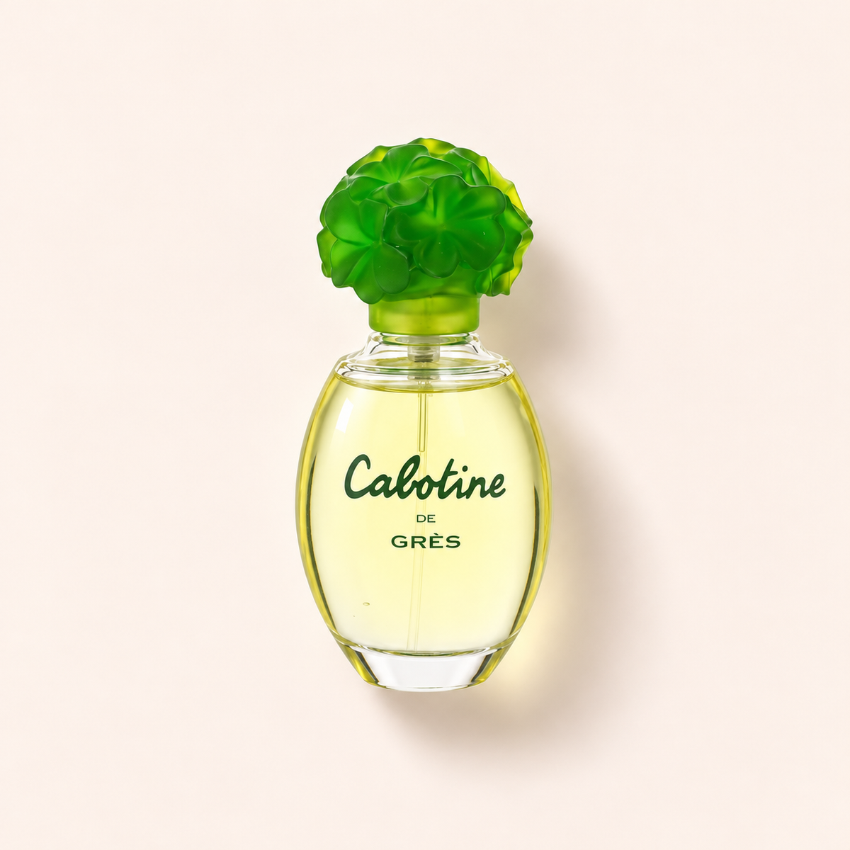 Grès Cabotine de Grès toaletní voda 50 ml – MrRizz