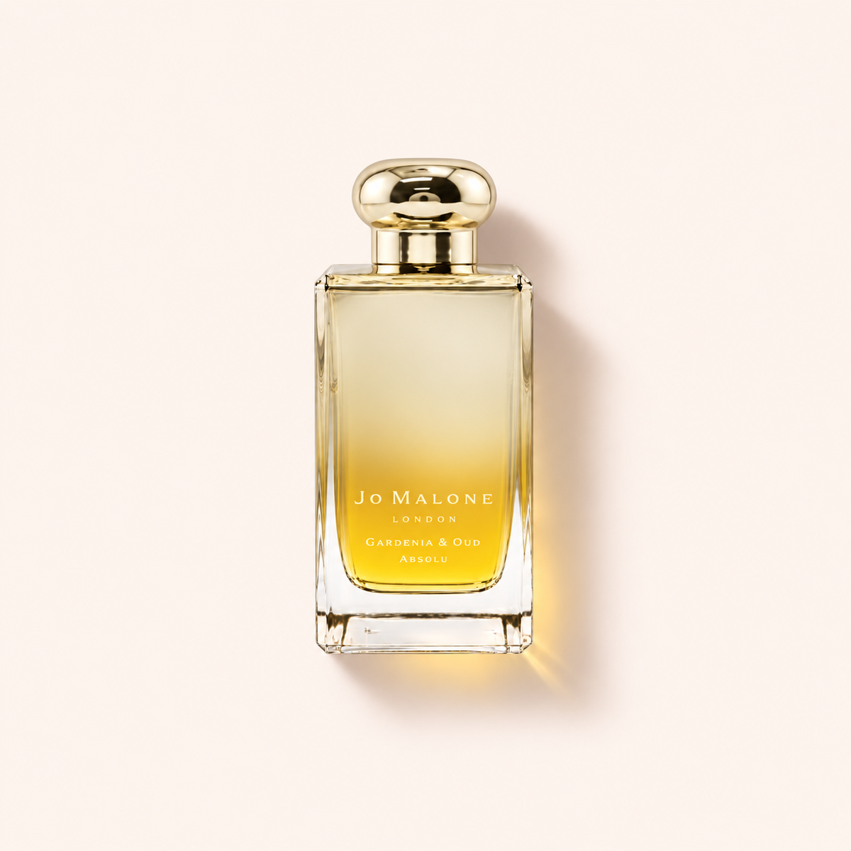Jo Malone Gardenia & Oud Cologne Absolu 100 ml – MrRizz