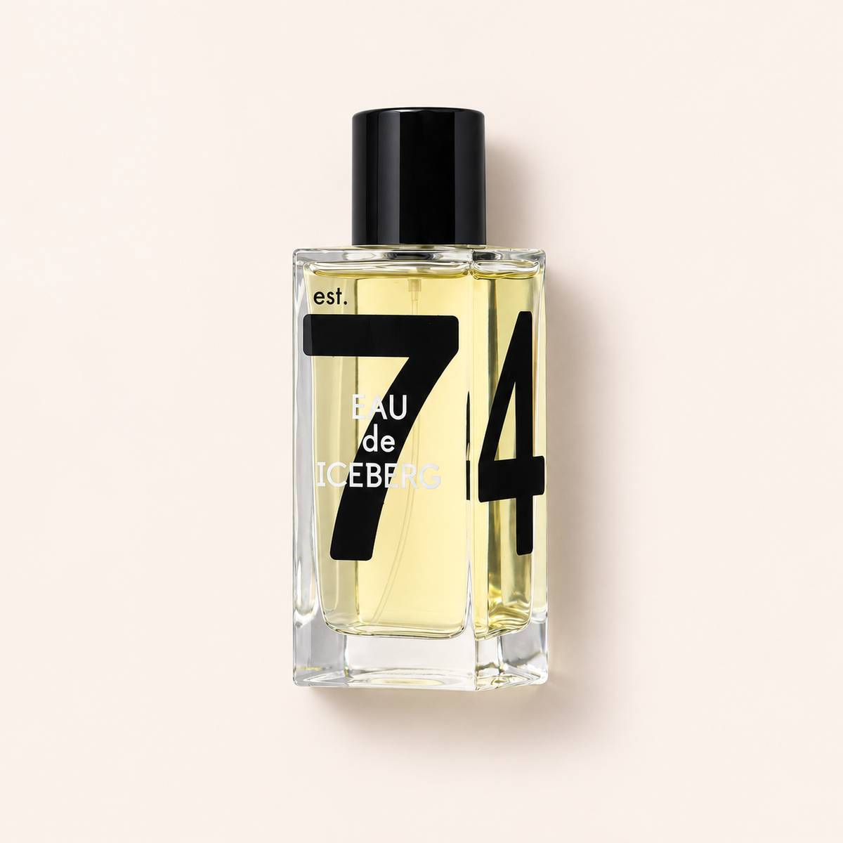 Iceberg Eau de Iceberg 100 ml – MrRizz