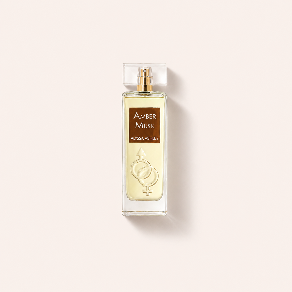 Alyssa Ashley Amber Musk 100 ml